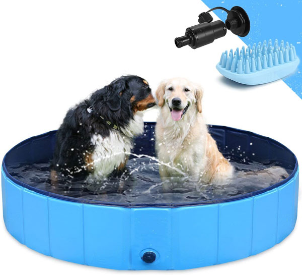 Piscine rigide pliable pour chien : la boutique de Lucien